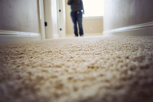 carpet cleaning